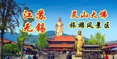 大屌进逼视频江苏无锡灵山大佛旅游风景区