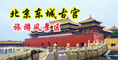美女的丝袜小骚逼中国北京-东城古宫旅游风景区